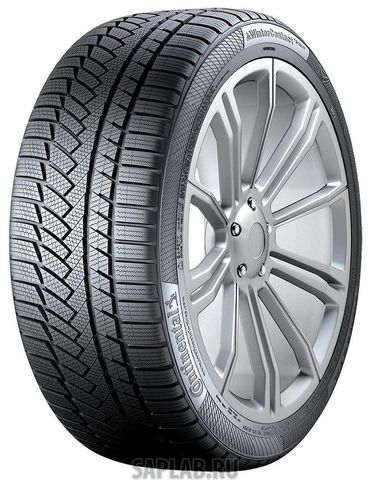 Купить CONTINENTAL 0353907 Шины Continental WinterContact TS850P 225/45 R18 95H XL FR SSR MOE