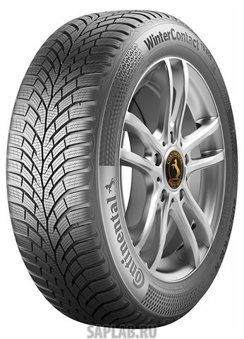Купить CONTINENTAL 0355464 Шины Continental  205/55/16  H 91 WinterContact TS 870