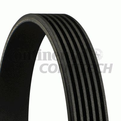 Купить запчасть CONTITECH - 6PK1045 