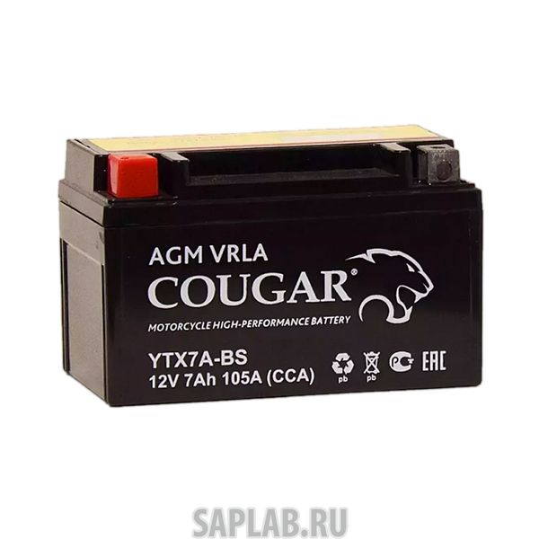 Купить запчасть COUGAR - YTX7ABS 