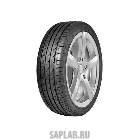 Купить DELINTE 6901532202020 Шины Delinte DH2 195/65 R15 95H