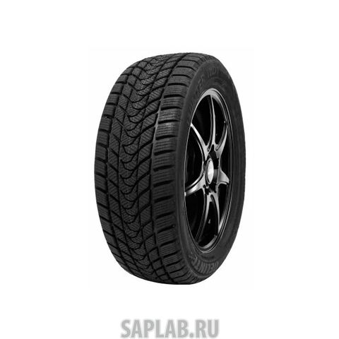 Купить DELINTE 6901532410319 Шины Delinte Winter Wd1 215/65 R16 98H
