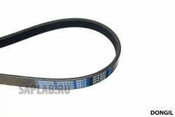 Купить DONGIL 4PK855 Ремень поликлиновой AUDI A4/A6 BMW E36/E34 HYUNDAI Elantra/i30 KIA Ceed/Sportage VW Passat 89->