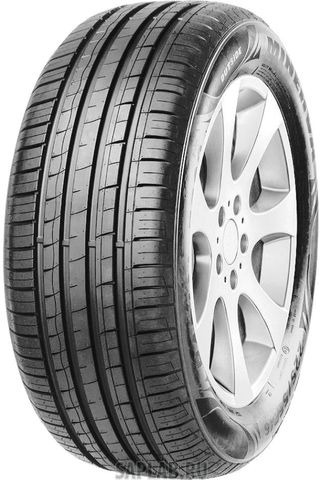 Купить MINERVA MV848 Шины Minerva F209 195/55 R16 V 91