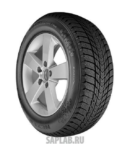 Купить ROADSTONE ROADS16116 Шины ROADSTONE WinGuard Ice Plus XL 225/40 R18 92 roads16116