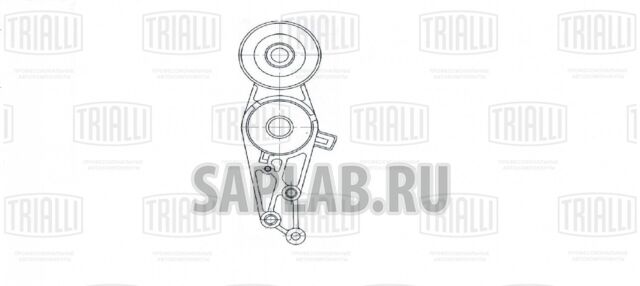 Купить TRIALLI CM5082 Ролик приводного ремня Audi A4 (00-) 1.6i/1.8T/2.0i (с натяж. мех.)
